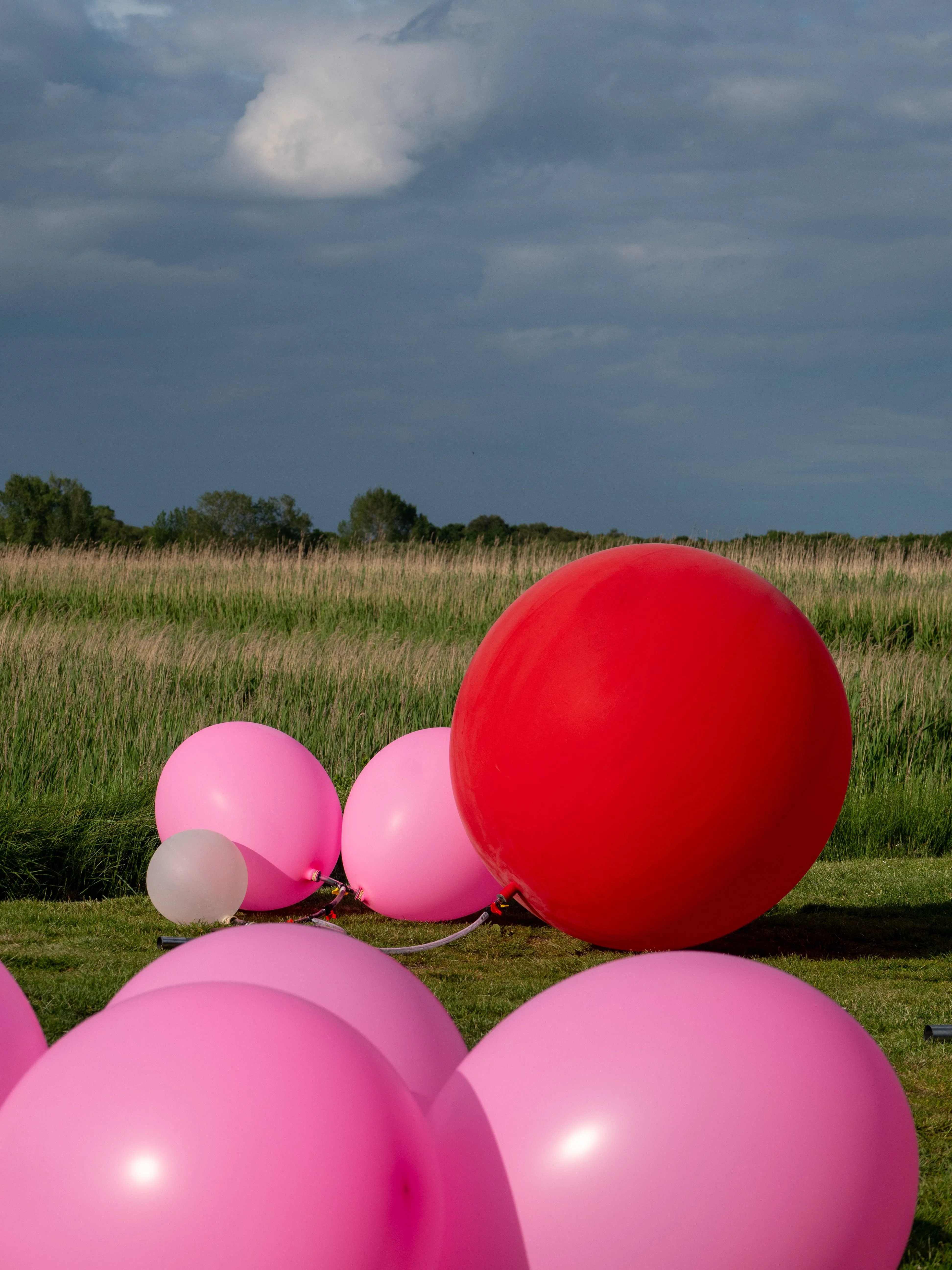 Image 1 for Same 36 Tunes for 100 Years