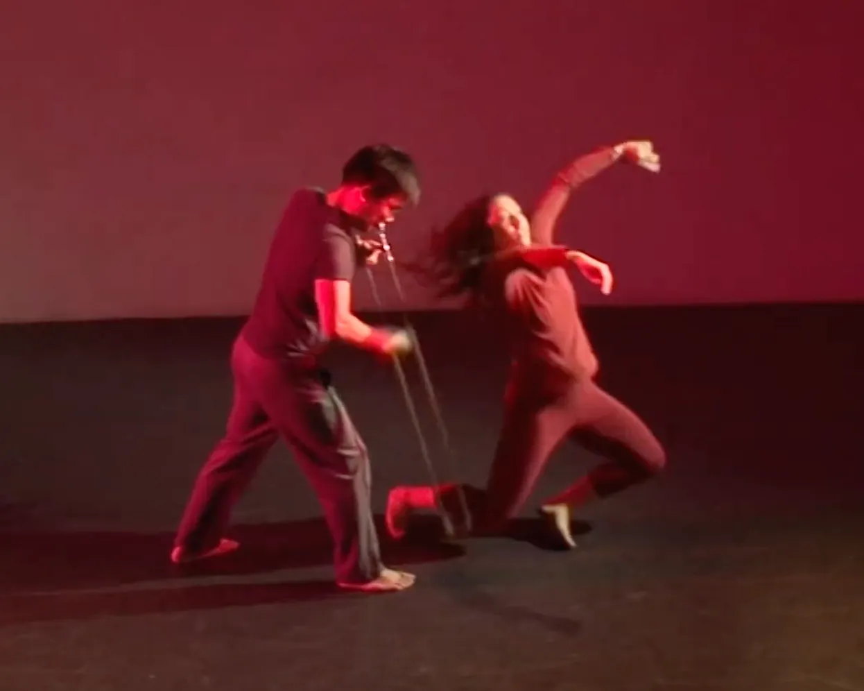 Cover image for Echo Ensemble (2019 - 2020)