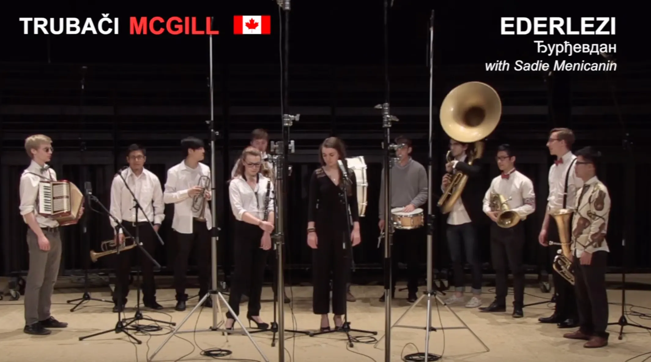 Cover image for Trubaci McGill